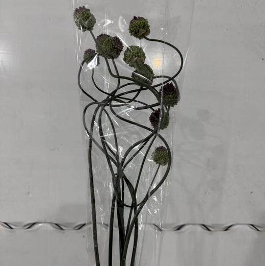 国产弯葱 商品图0