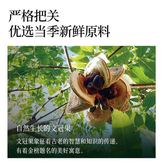 全食物日记X與慈同行 文冠果油50ml 商品图1