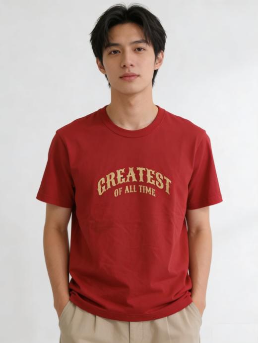 佐丹奴男装26年新款印花短袖T恤01096302 商品图1