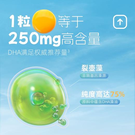 MensSana Omega3植物DHA藻油素食小布丁30粒【德国直邮 下单请提供身份证正反面照片】 商品图1