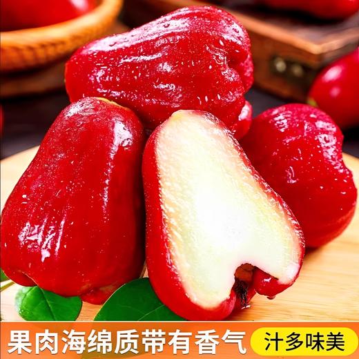 果岭菁礼 海南三亚有机黑金刚莲雾 清甜脆爽多汁新鲜应季仙女果水果 顺丰包邮 商品图1