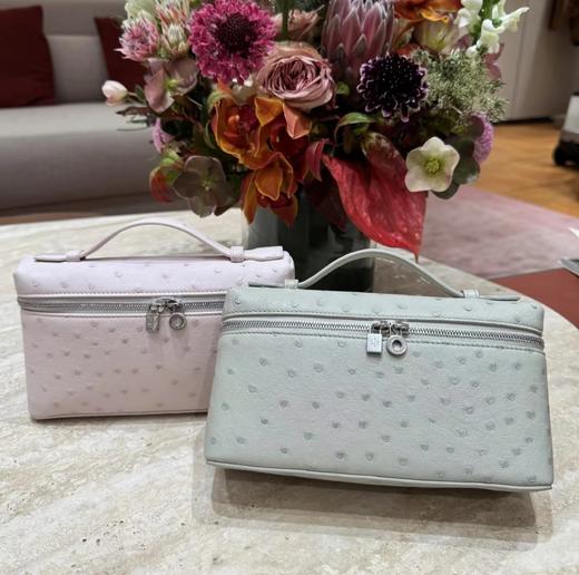 量少！重磅渠道  lp鸵鸟皮 饭盒包 手拿包 kk原厂鸵鸟皮  无质量问题不退换 尺寸19/12/7 商品图0