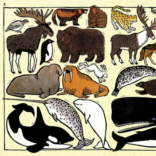 我的动物园 大开本法国插画版画儿童科普百科启蒙认知书籍 商品图3