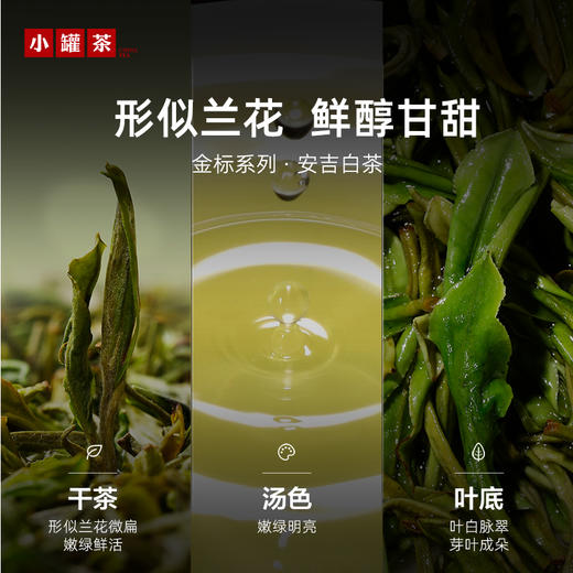 【2026春茶】小罐茶·金标系列·安吉白茶 50g 商品图2