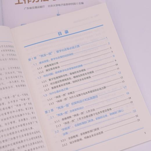 “两清一图”工作方法与应用实践 AI在政务场景应用趋势 政务数字化改革底层逻辑项目管理 企业数字化转型产业经管书籍 商品图1