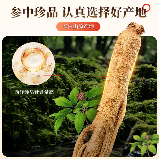 参香活色 西洋参片100g/袋 商品图2