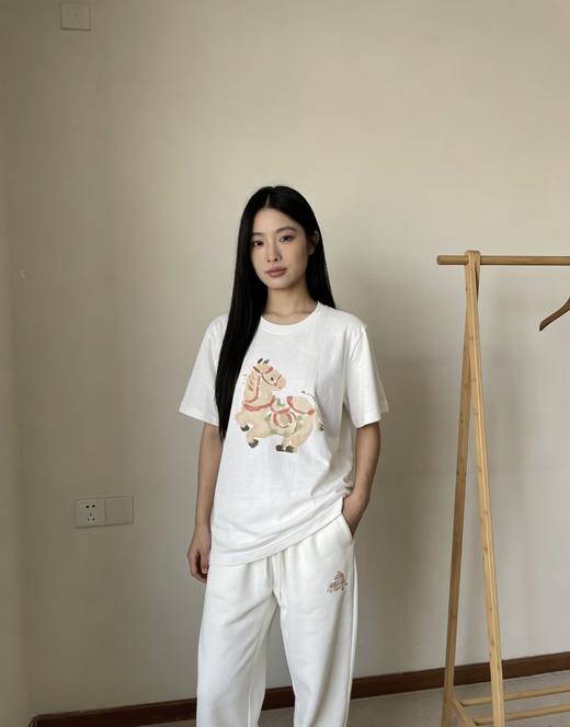 editio*n五花马T恤 商品图11