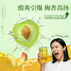 超酸梅见青梅酒果酒12度330ml*6女士低度酒原味甜酒微醺梅子酒晚安酒 商品缩略图2