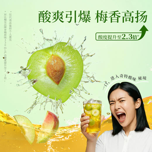 超酸梅见青梅酒果酒12度330ml*6女士低度酒原味甜酒微醺梅子酒晚安酒 商品图2