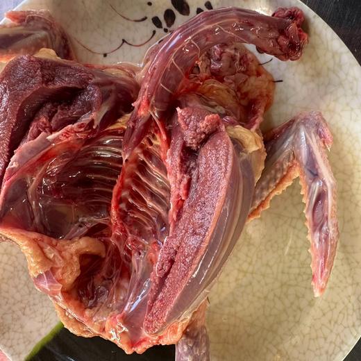 【云南散养鸽子「1-2年」】吃的就是大山里无公害鸽子~滋补 春季长个 产后滋补佳品 商品图1