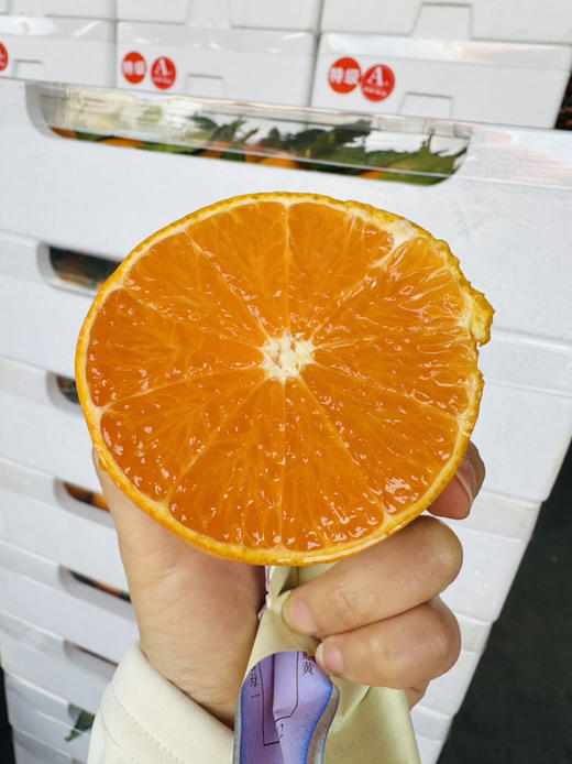 高品质柑橘 非常好吃的黄美人 商品图3