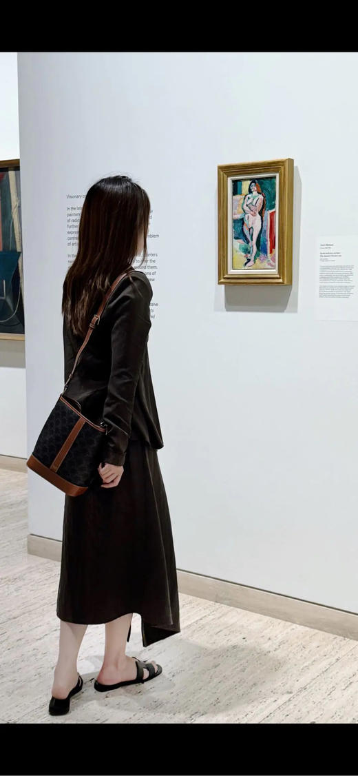 Celine 小号 老花 水桶 斜挎包 商品图3