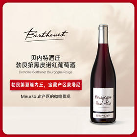 贝内特酒庄勃艮第黑皮诺红葡萄酒 2023 Berthenet Bourgogne rouge Pinot Noir