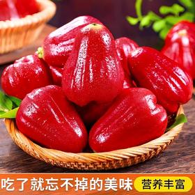 果岭菁礼 海南三亚有机黑金刚莲雾 清甜脆爽多汁新鲜应季仙女果水果 顺丰包邮