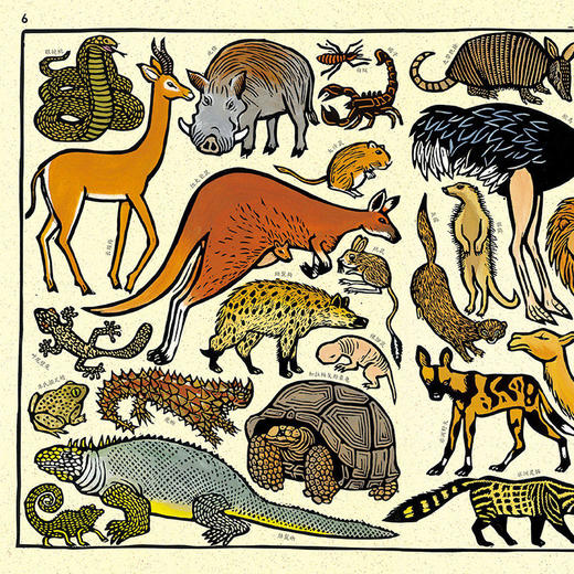 我的动物园 大开本法国插画版画儿童科普百科启蒙认知书籍 商品图2