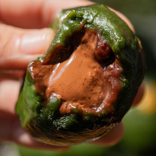 【糕酥精选】艾草嘟嘟手作青团 用野生艾草非青汁 现做现发 只卖30天的新鲜 短保无添加 清香扑鼻 软糯Q弹 闻得到的艾草清香 吃得出艾叶纤维 商品图5