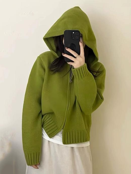 多色连帽双拉链基本款毛衣开衫纪念日百货门店同款169453355 商品图2