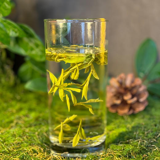 味悠长龙井茶智之春 商品图4