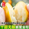 果岭菁礼 融安脆蜜金柑三代 纯甜金桔新鲜带皮吃孕妇水果现摘现发 顺丰包邮 商品缩略图4