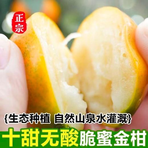 果岭菁礼 融安脆蜜金柑三代 纯甜金桔新鲜带皮吃孕妇水果现摘现发 顺丰包邮 商品图4