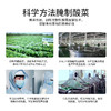 丨有机丨好芯酸菜 · 像做酸奶一样做的有机酸菜 商品缩略图6