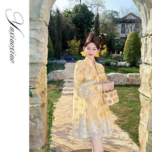 【孤品样衣，不退不换】【雏菊的夏天】轻奢精美绣花印花连衣裙短款夏季&上衣2025 商品图4
