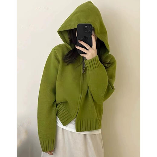 多色连帽双拉链基本款毛衣开衫纪念日百货门店同款169453355 商品图8