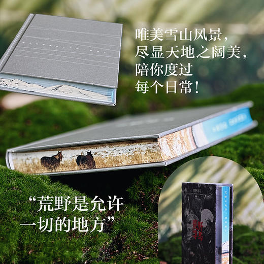 【特装版】荒野寻马 真正的自由 是允许自己成为一粒雪 商品图1