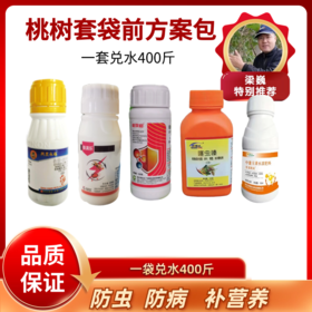 桃树套袋前方案包