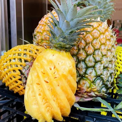 😋 香迷糊了！正宗徐闻菠萝，切开就是满屋果香～🍍 徐闻菠萝5斤肉厚汁水多！吃之前记得泡盐水，甜得像加了蜜 💛 商品图1