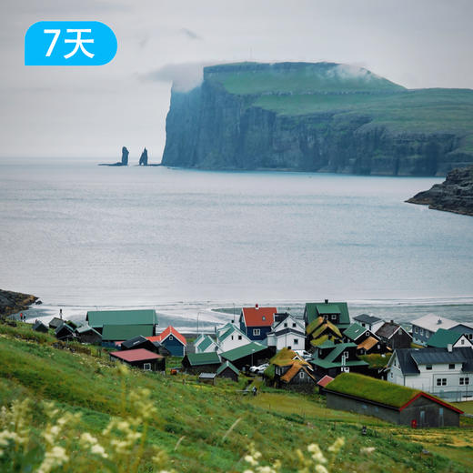 野性法罗 | 闯入大西洋的魔法孤岛，7天收藏世界尽头的极致温柔 商品图4