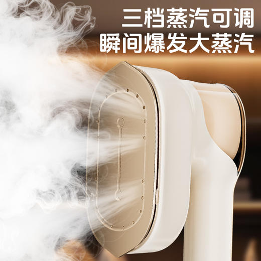 【632优选】OGNAL奥戈那手持挂烫机K-9719A-SH1156 商品图2