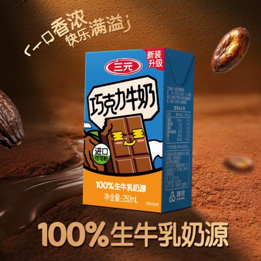 【自提-常温】巧克力牛奶250ml*24 商品图2