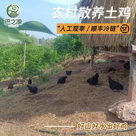 农家散养乌鸡公低脂土鸡活鸡现杀新鲜黑鸡乌骨鸡整鸡顺丰冷链包邮