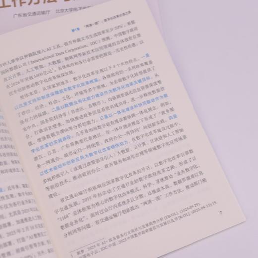 “两清一图”工作方法与应用实践 AI在政务场景应用趋势 政务数字化改革底层逻辑项目管理 企业数字化转型产业经管书籍 商品图4