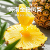 【金钻凤梨】香气馥郁酸甜脆爽 个头饱满皮薄肉厚无需泡盐水（4-4.5斤） 商品缩略图0