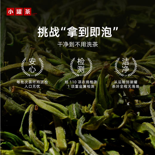 【2026春茶】小罐茶·金标系列·安吉白茶 50g 商品图7