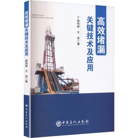 高效堵漏关键技术及应用