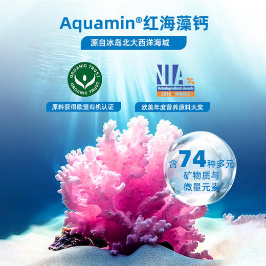 Ddrops 儿童液体海藻钙镁锌 30条/罐 商品图1