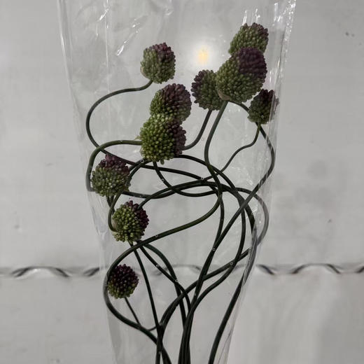 国产弯葱 商品图3