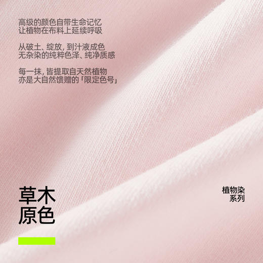 【新品上新】有棵树10A级抗菌棉质中腰女士三角内裤3条装-U4025 商品图1