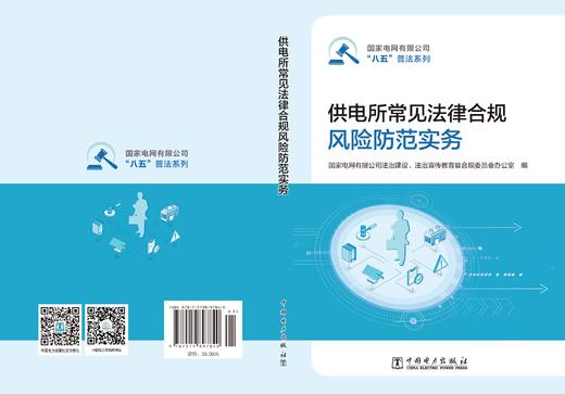 供电所常见法律合规风险防范实务 商品图2