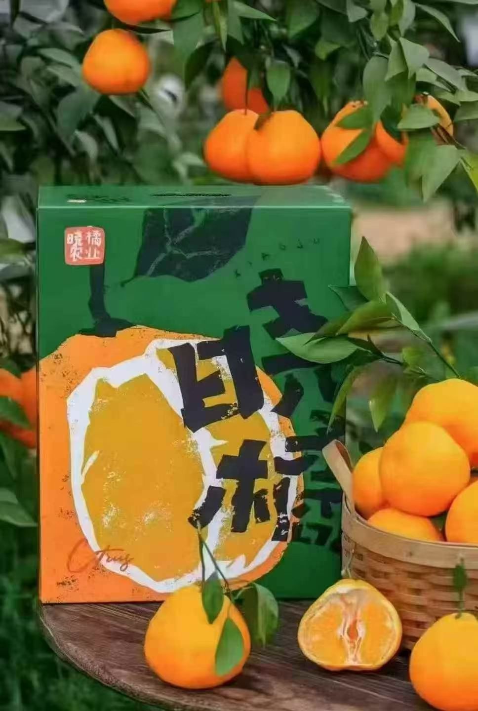 【推荐】晓橘春見