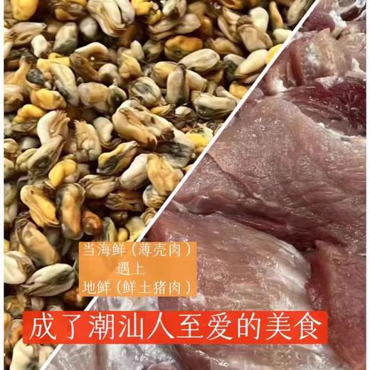 潮汕薄壳米丸/猪肉丸 | 甄选新鲜薄壳米 传统工艺手工掐丸 海瓜子+九塔草 弹嫩香脆 潮汕地道风味 商品图6