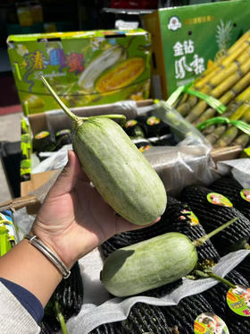 翡翠蜜瓜 比羊角蜜好吃 特别嫩香甜 12.8元一斤