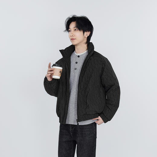 【新品上新】HX 冬季短款立领羽绒服S100544173101/02 商品图1