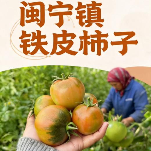宁夏闽宁镇铁皮柿子 | 沙土地种植 自然挂果成熟 脆甜爆汁 儿时老味道番茄 青肩越鲜亮 果香越浓郁 现摘先发 商品图3