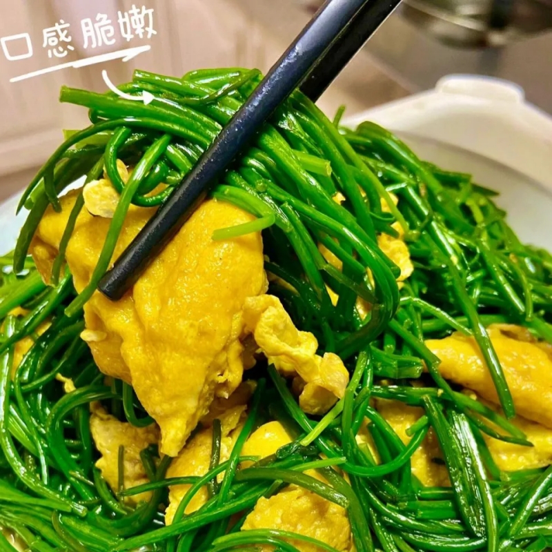 甘肃民勤戈壁沙葱【顺丰快递】