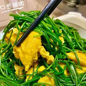 甘肃民勤戈壁沙葱【顺丰快递】