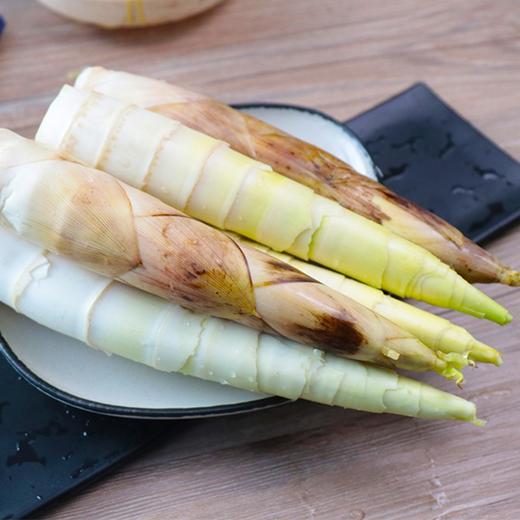 福建建瓯春笋 甘甜脆鲜 肉质鲜嫩  3斤/5斤 商品图1
